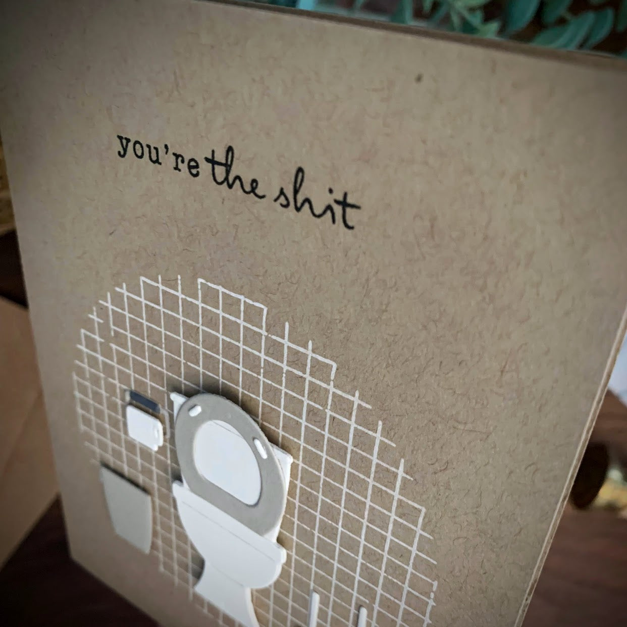 "You're The Shit" Toilet Humour Card